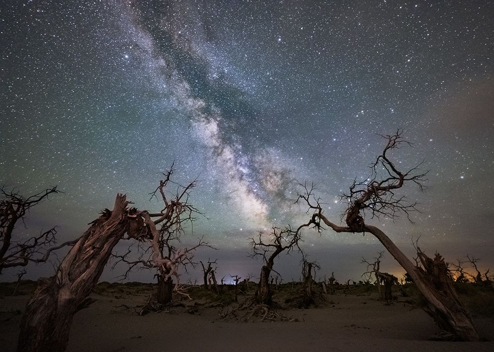 Galaxy Over A Dead Forest art print by Yuhan Liao for $57.95 CAD