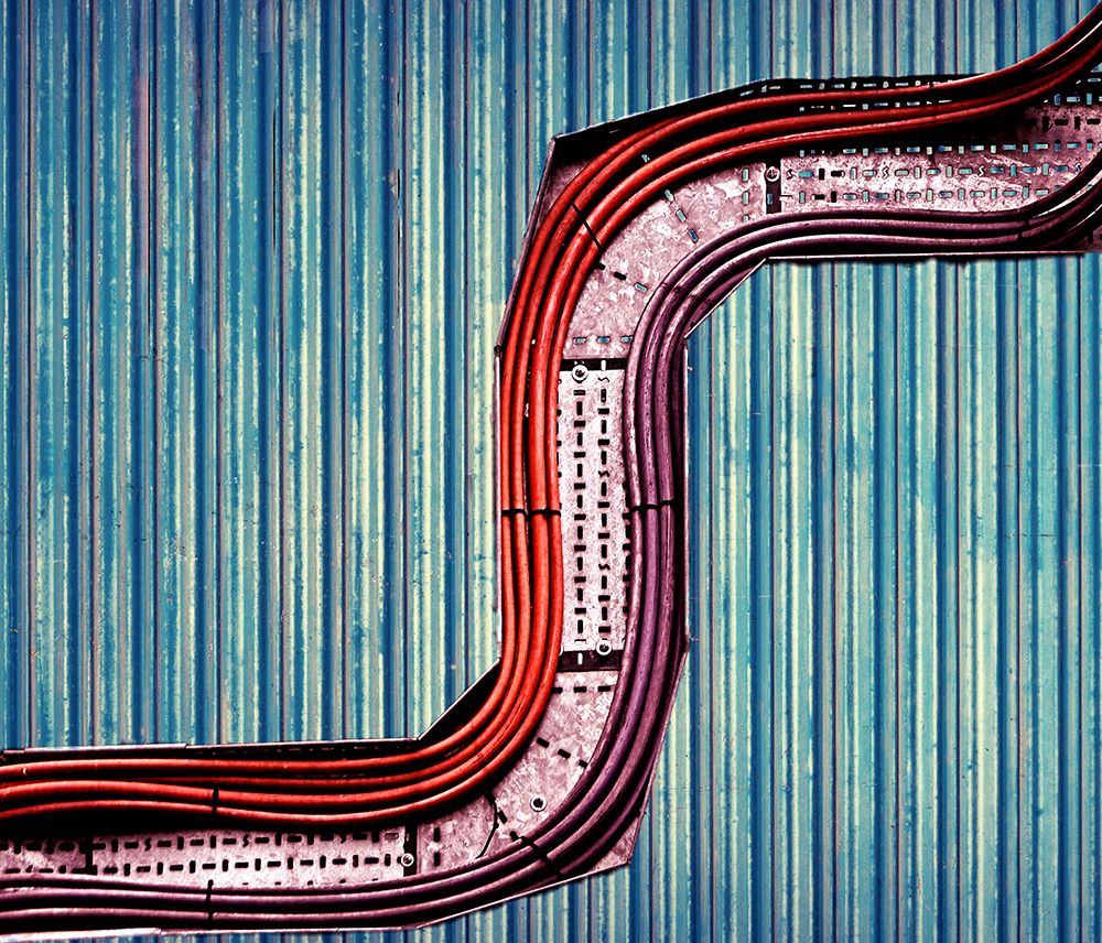 Snake art print by Gareth Thomas for $57.95 CAD