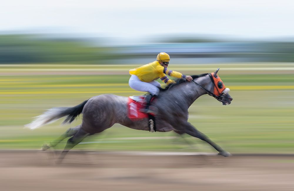 Horse Racing art print by Little7 for $57.95 CAD
