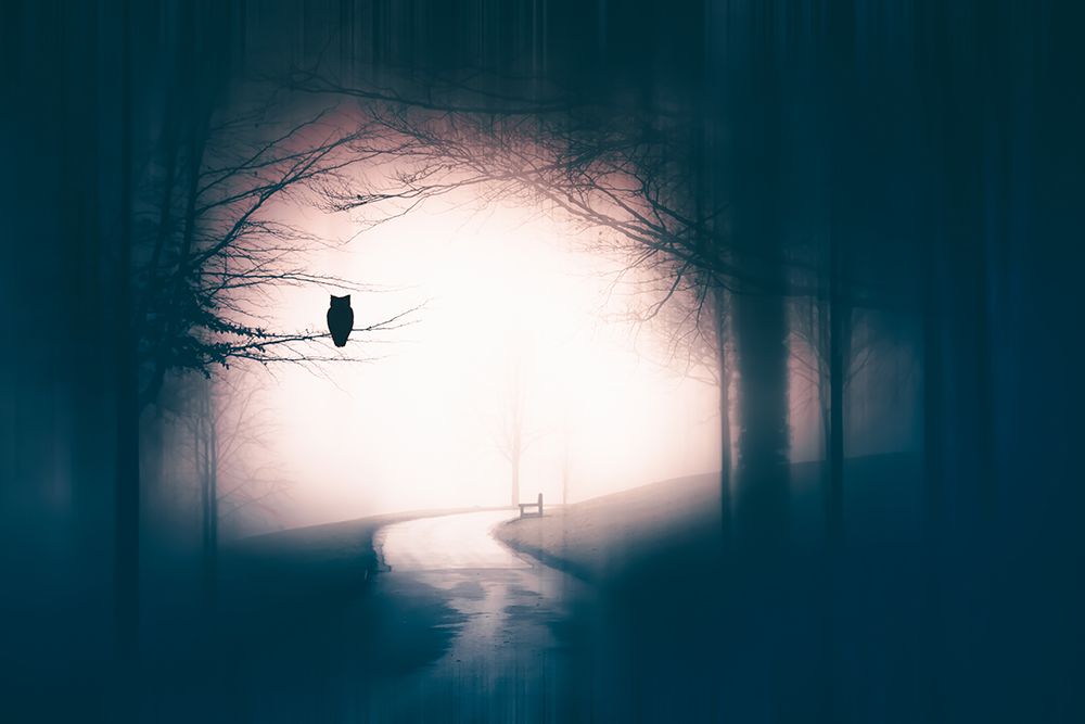 Accompanied art print by Eros Erika for $57.95 CAD