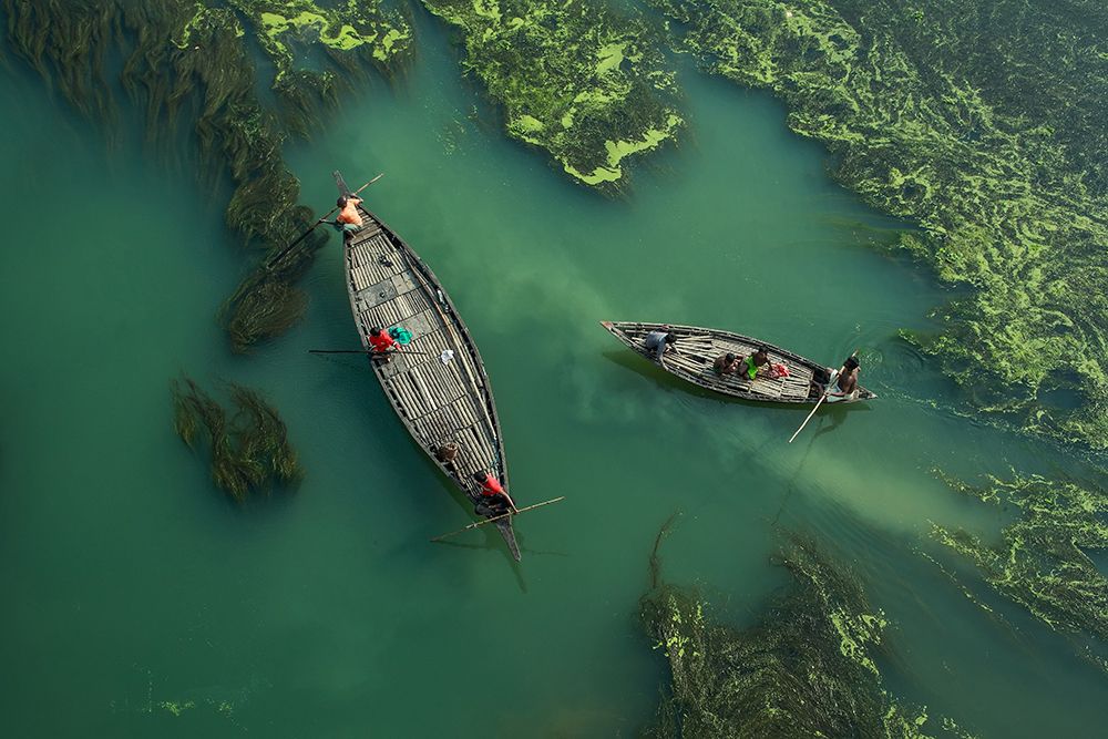Crossing The Algae RIVer art print by Muhammad Amdad Hossain for $57.95 CAD