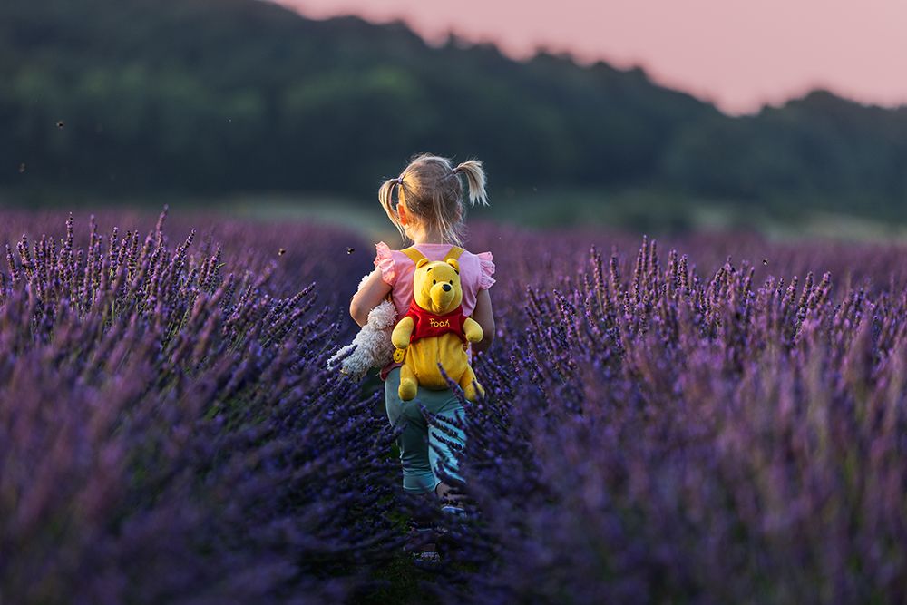 Winnie The Pooh Journey In The Lavender Sea art print by Dmitry Stepanov for $57.95 CAD
