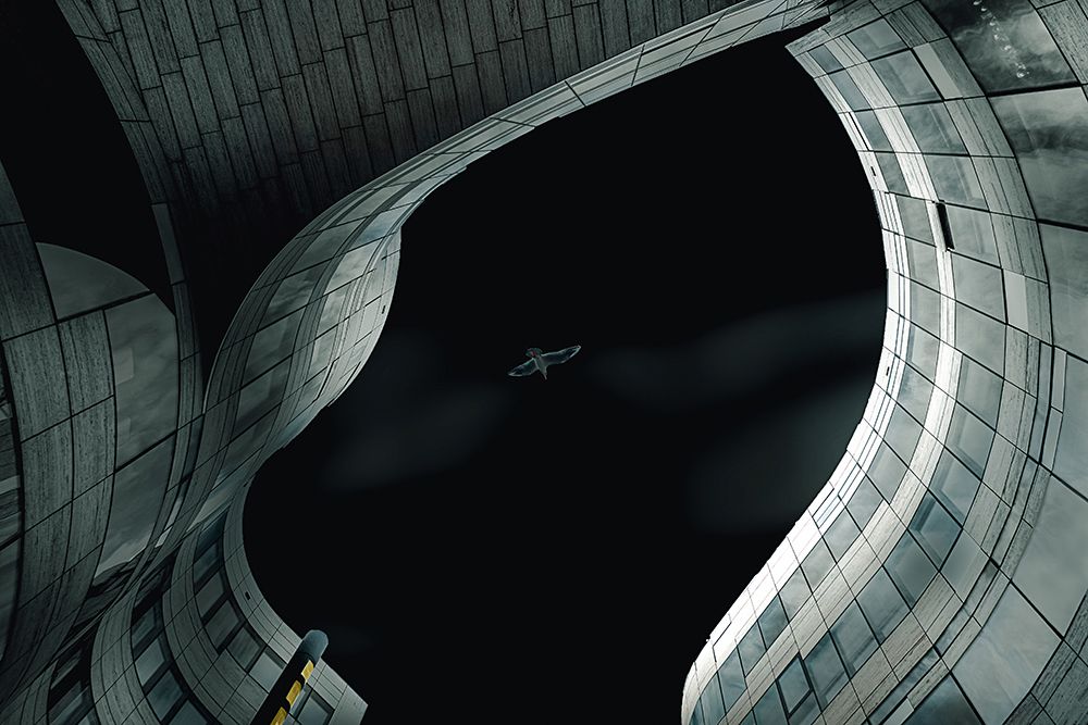 Open Space art print by Stephan Ruckert for $57.95 CAD