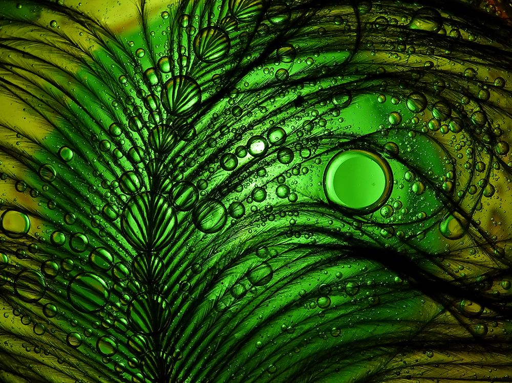 Feather Abstract art print by Ivan Lesica for $57.95 CAD