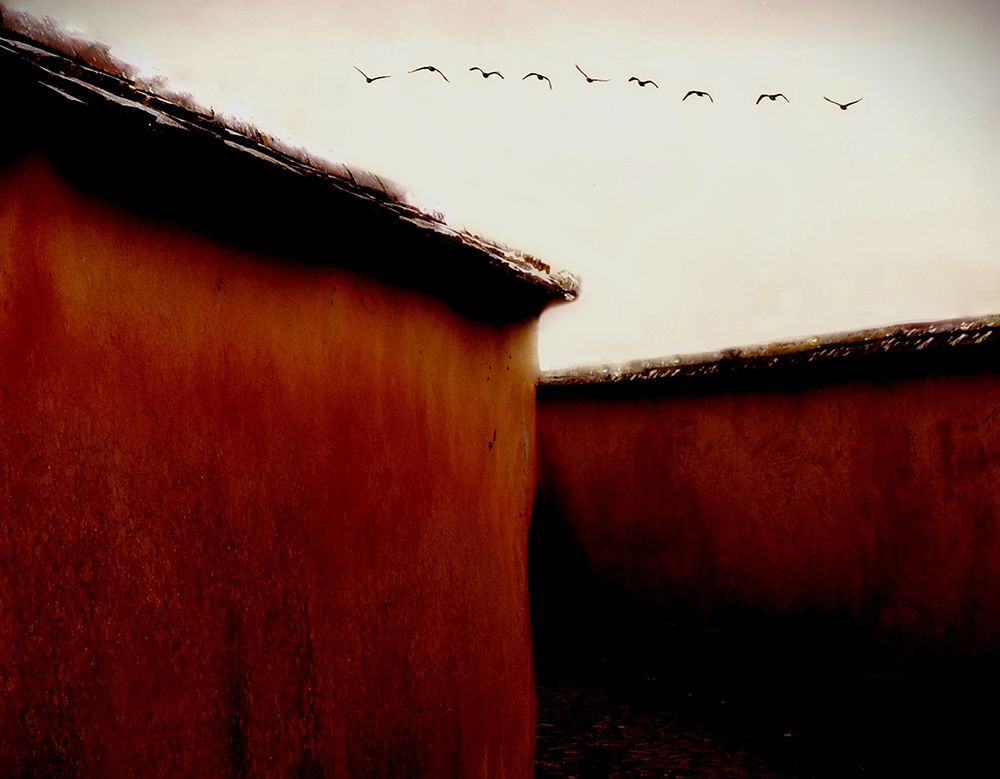 Leaving For Winter art print by Gareth Thomas for $57.95 CAD
