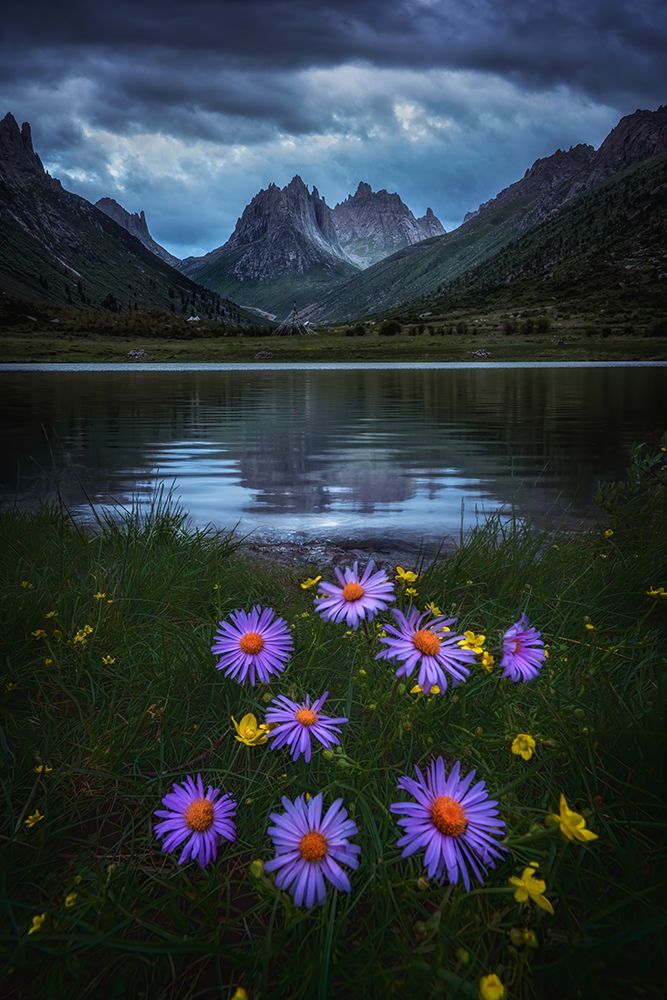Melancholy Valley art print by Yuan Cui for $57.95 CAD