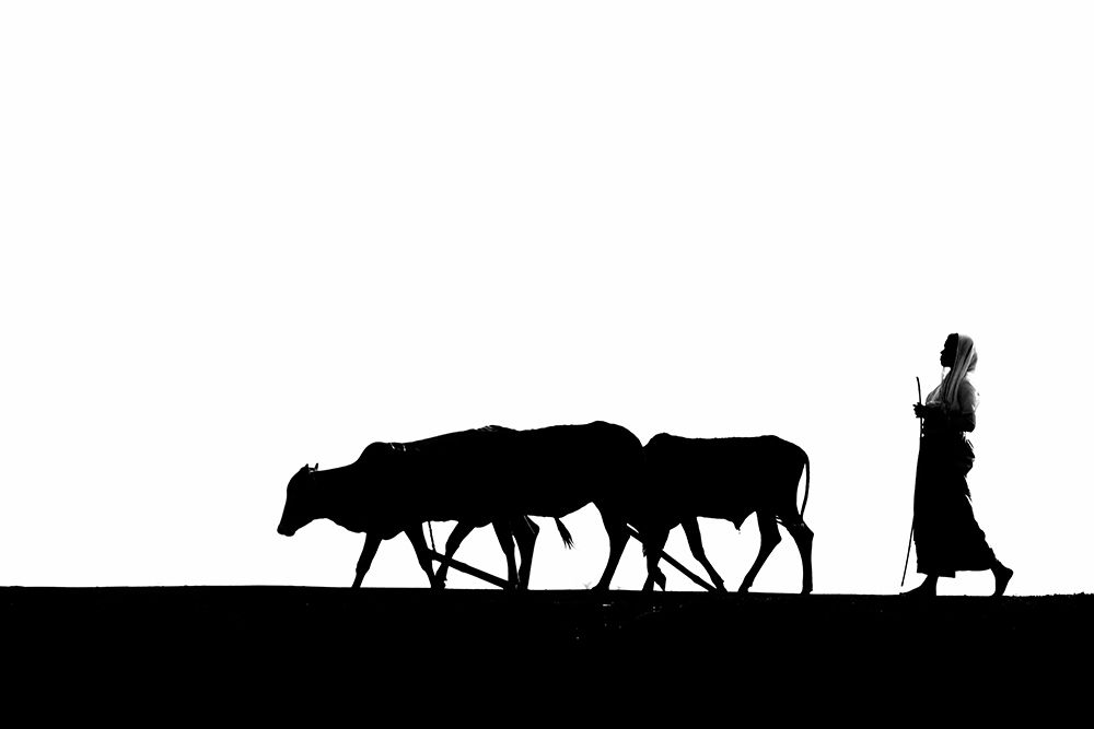 Silhouette art print by Santanu Mahapatra for $57.95 CAD