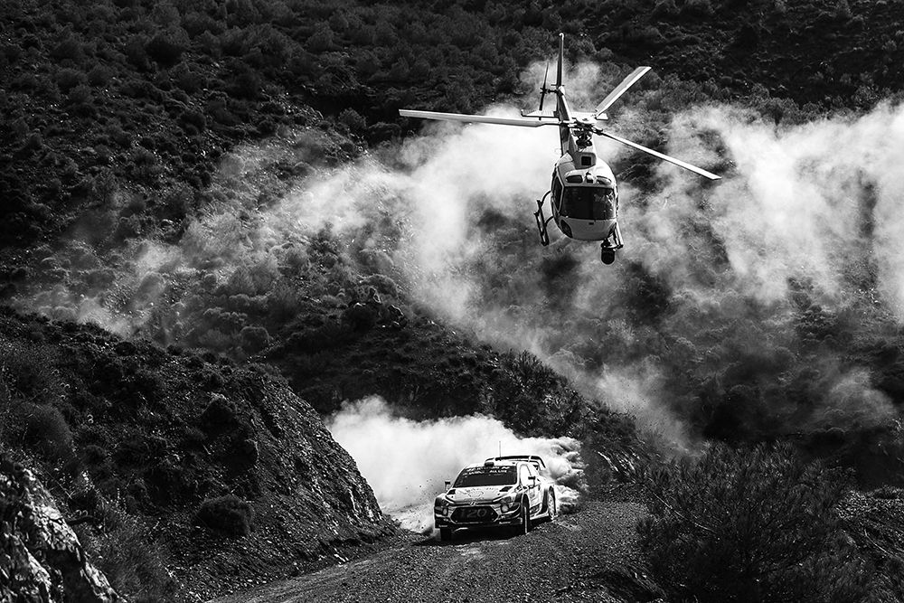 Turkey Rally art print by Attila Szabo for $57.95 CAD