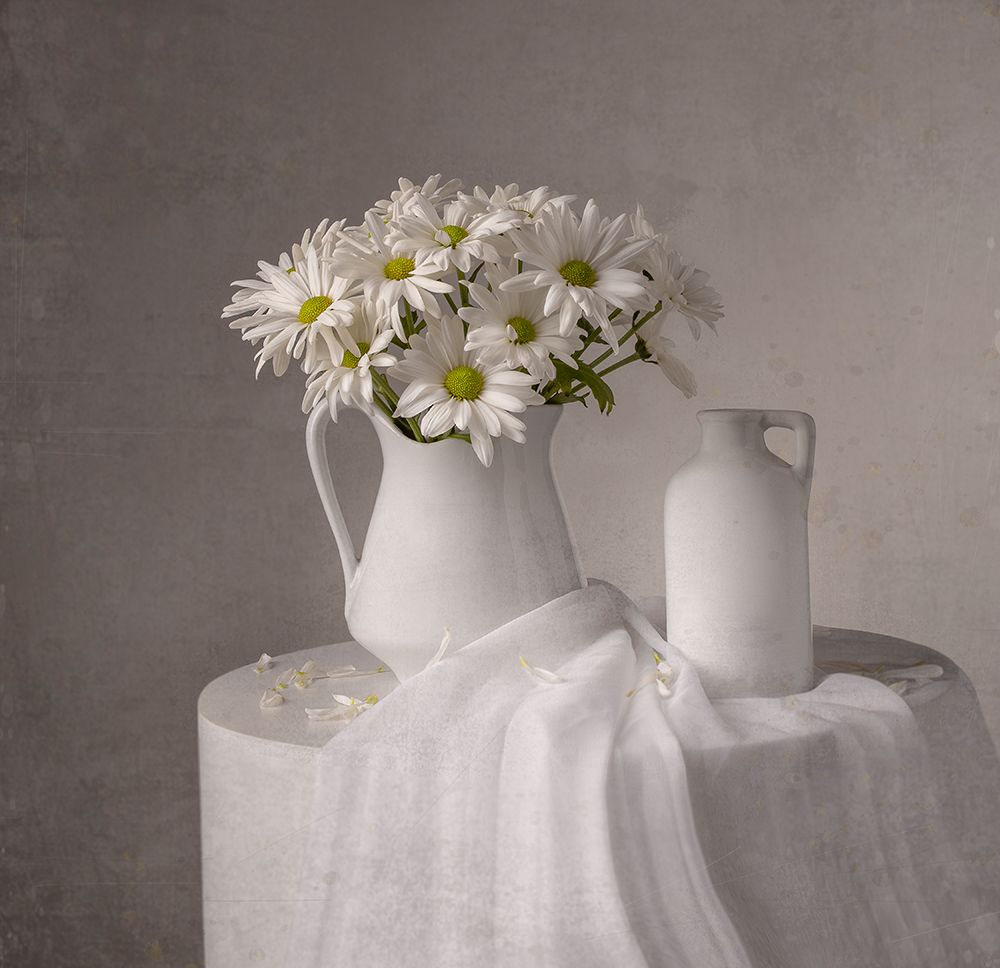 Daisy art print by Margareth Perfoncio for $57.95 CAD