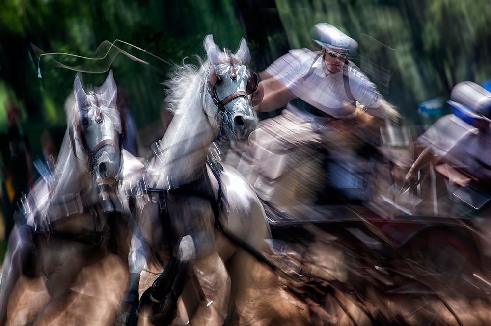 Hors Marathon art print by Milan Malovrh for $57.95 CAD