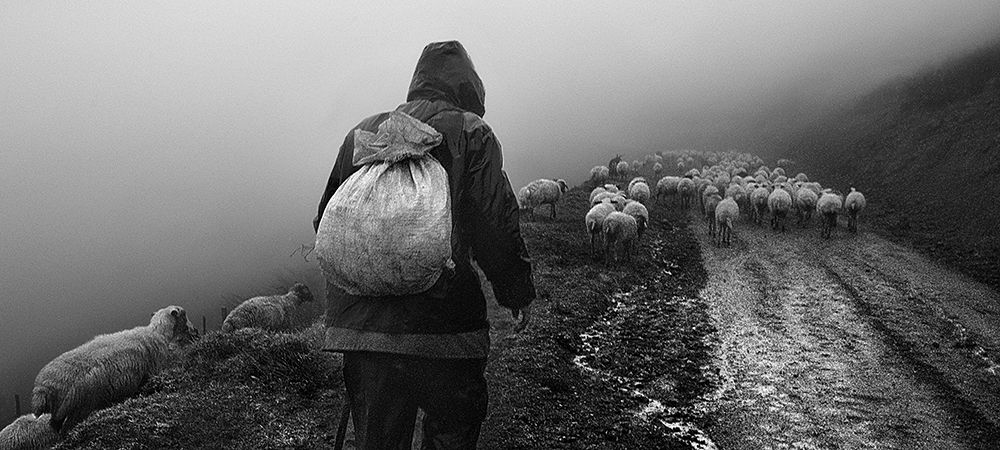 On The Way Home art print by Abbas Arabzadeh for $57.95 CAD