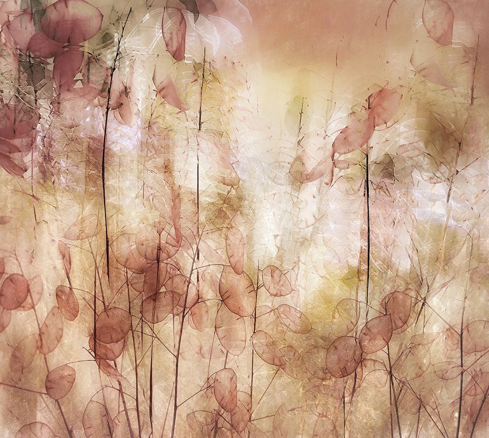 Seed Pods art print by Nel Talen for $57.95 CAD