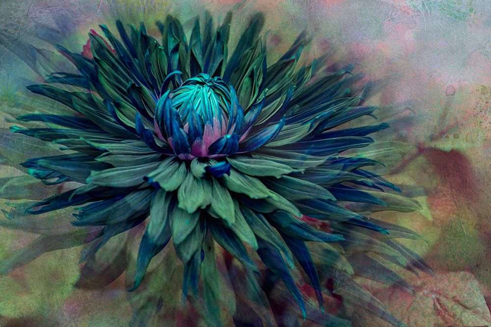 Twilight art print by Jacky Parker for $57.95 CAD