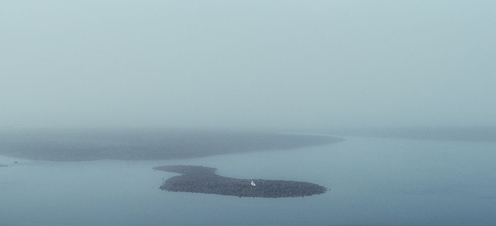 Haze art print by Misaki Saito for $57.95 CAD