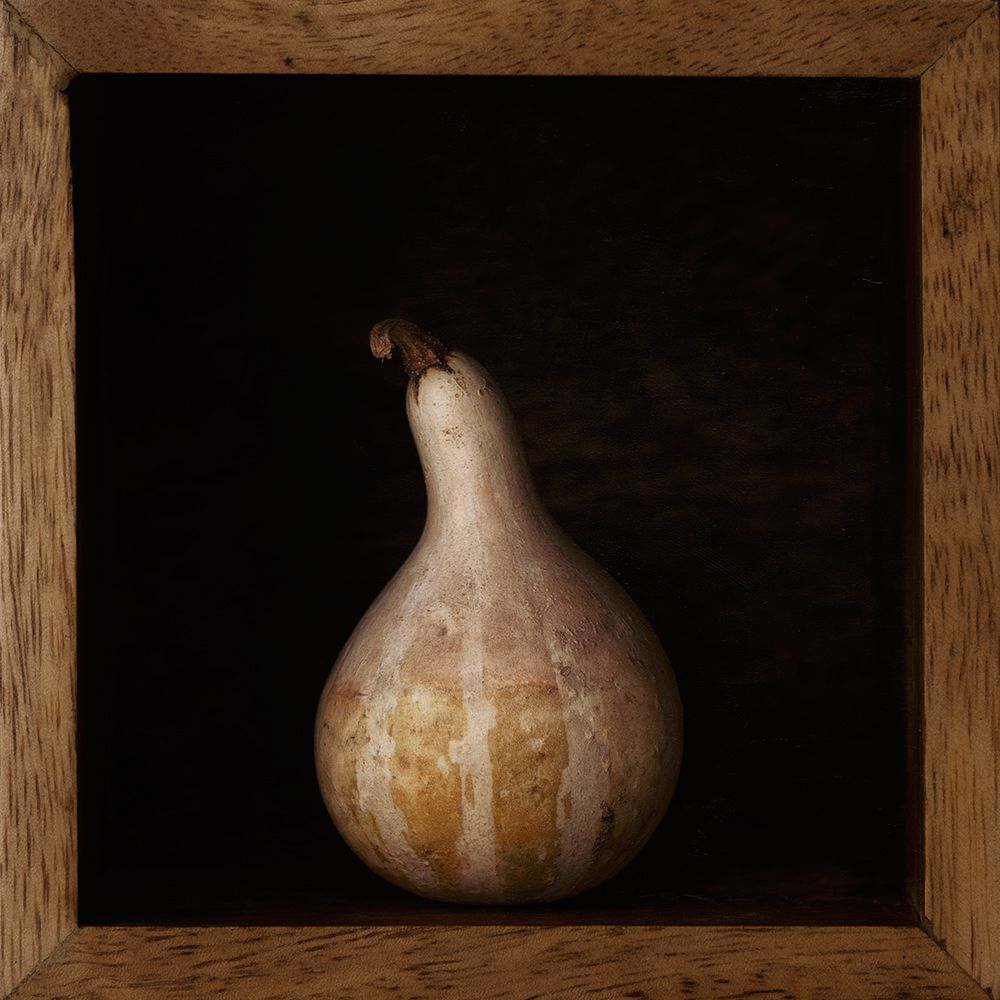 Gourd In A Box art print by Lotte Gronkjar for $57.95 CAD