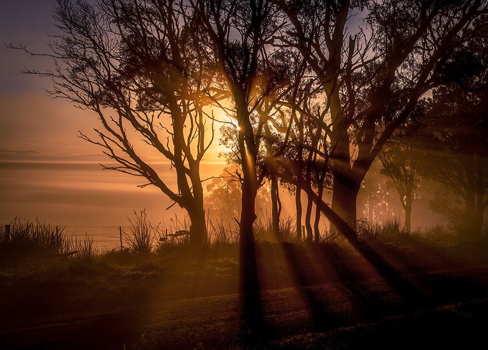 Sunrise Over Morning Mist art print by Frank Ma for $57.95 CAD