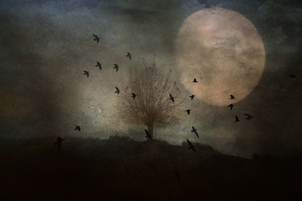 Night Is Coming art print by Robert Fabrowski for $57.95 CAD