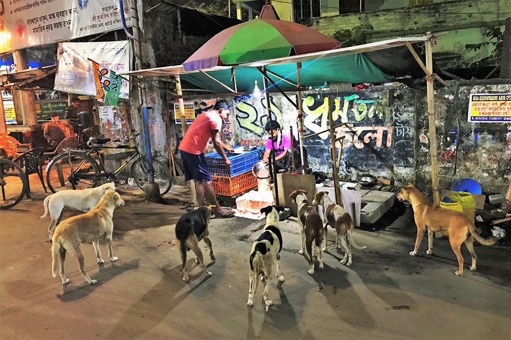 The Chicken Shop-And Its Customers. Calcutta. art print by Santanu Sengupta for $57.95 CAD