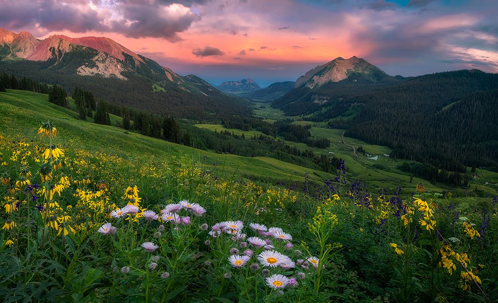 Blooming In The Valley art print by Mei Xu for $57.95 CAD