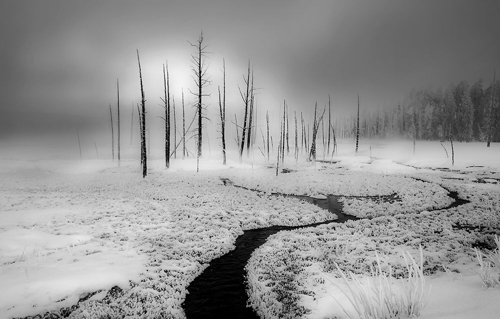 Winter Solstice art print by Anna An for $57.95 CAD