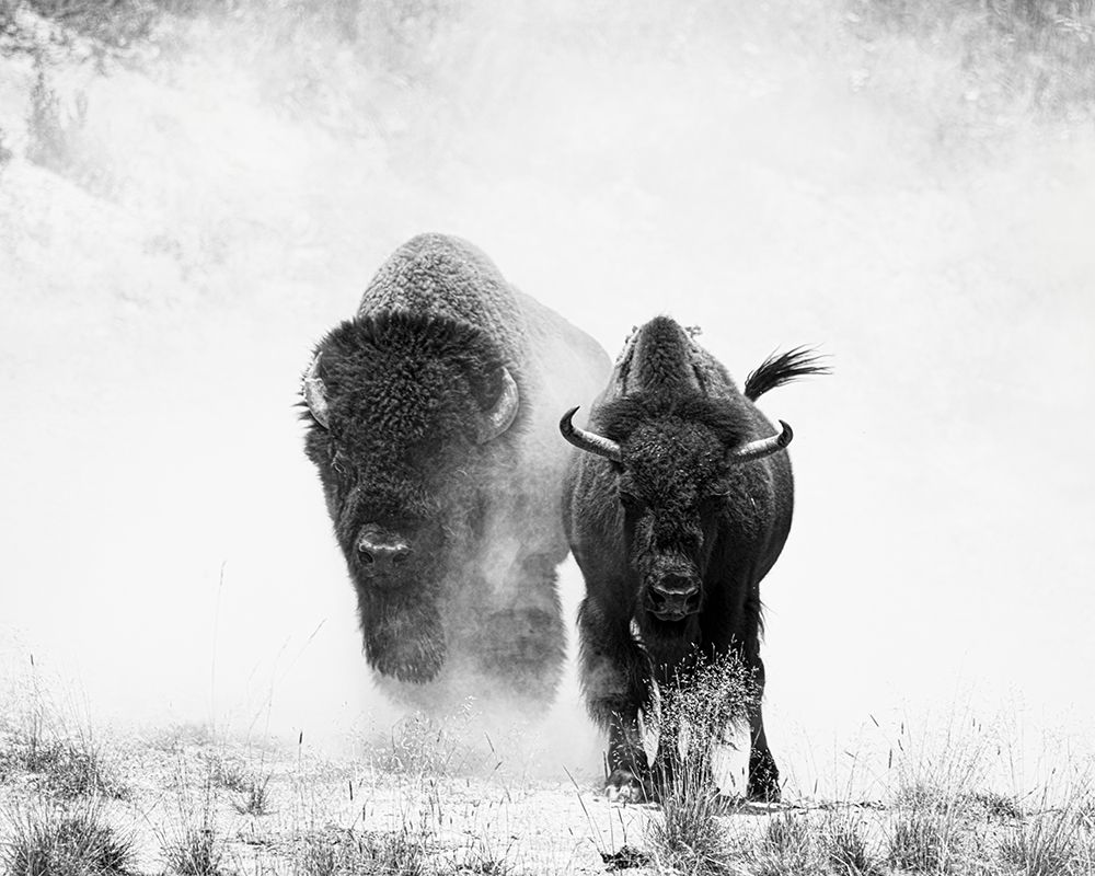 Couple art print by Wenjin Yu for $57.95 CAD