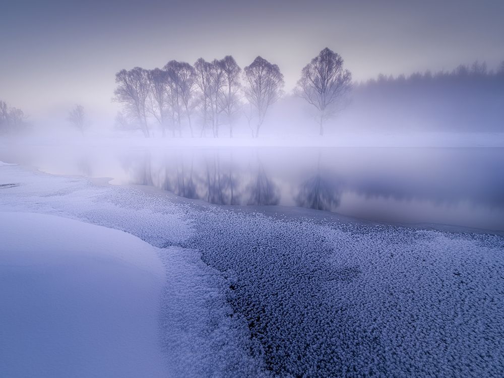 Foggy Northland art print by Minghao Hou for $57.95 CAD