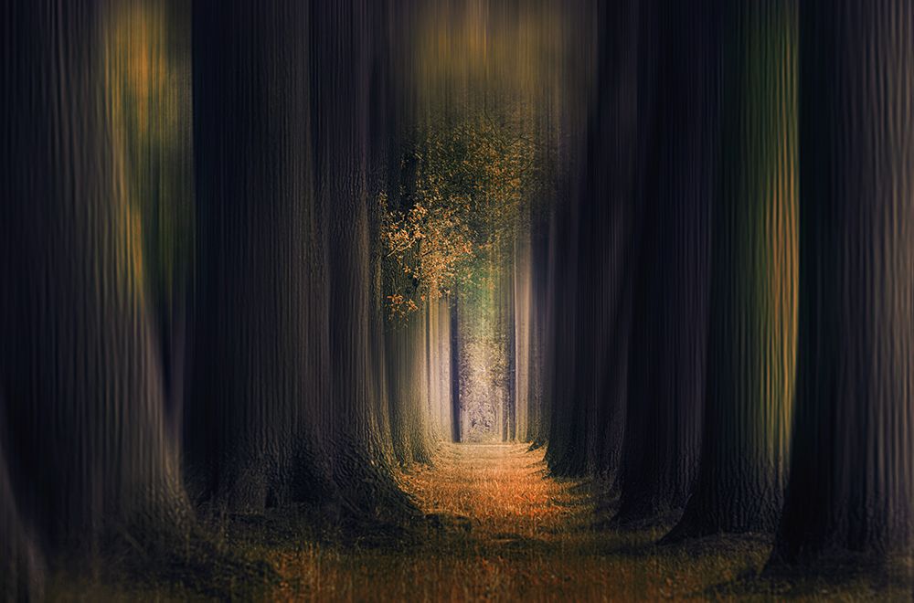 Infinity art print by Jan Van Der for $57.95 CAD