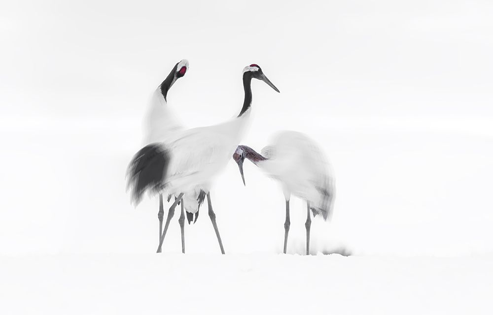 Family art print by Larry Deng for $57.95 CAD