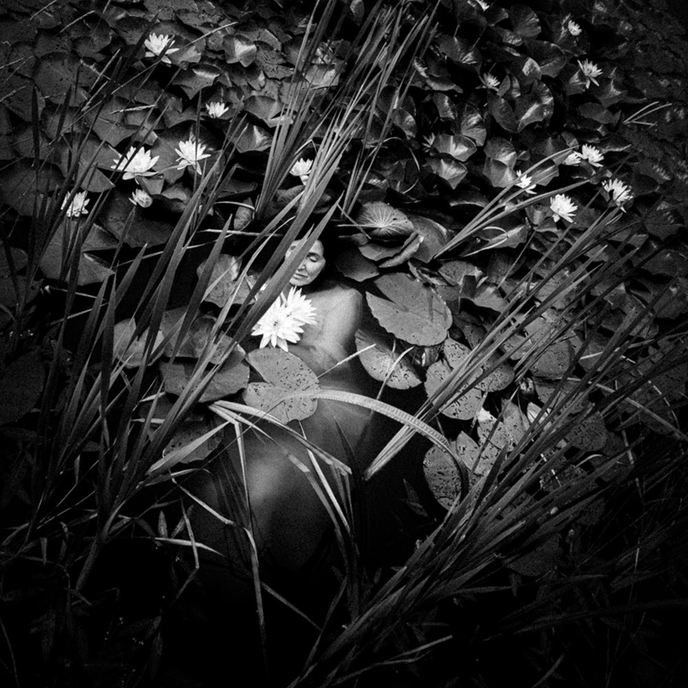 Water Lilly art print by Dzintra Zvagina for $57.95 CAD