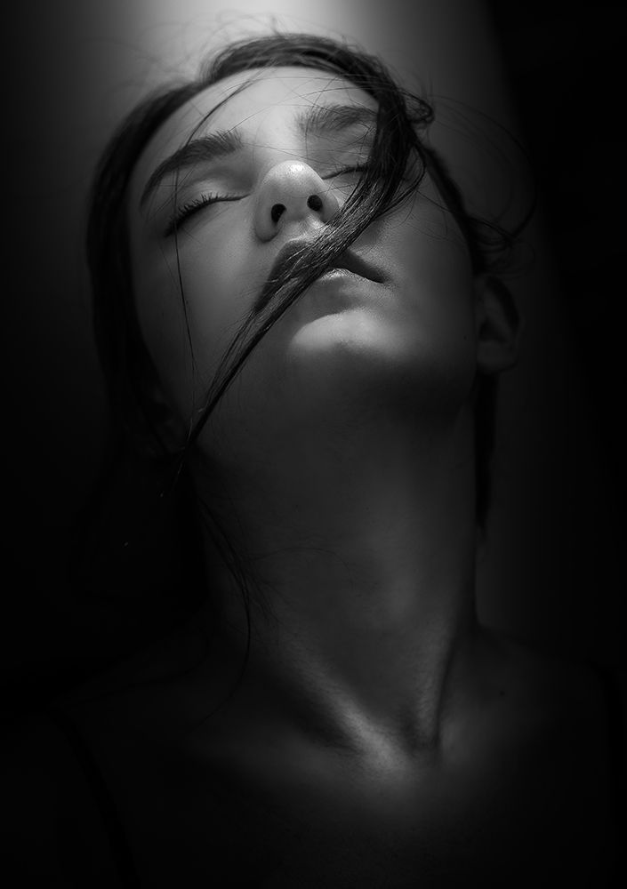 Ritratto Di Elisabetta art print by Toni Fidanza for $57.95 CAD