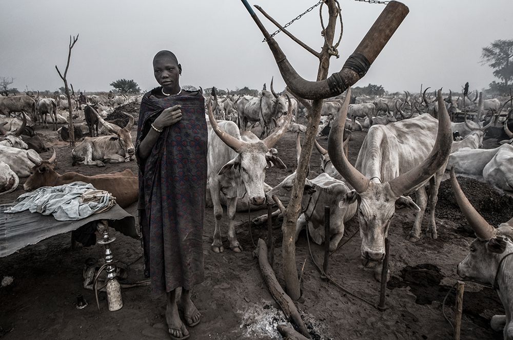 In A Mundari Cattle Camp-III - South Sudan art print by Joxe Inazio Kuesta for $57.95 CAD