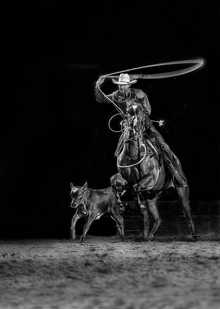 Calf Roping art print by Ken Liang for $57.95 CAD