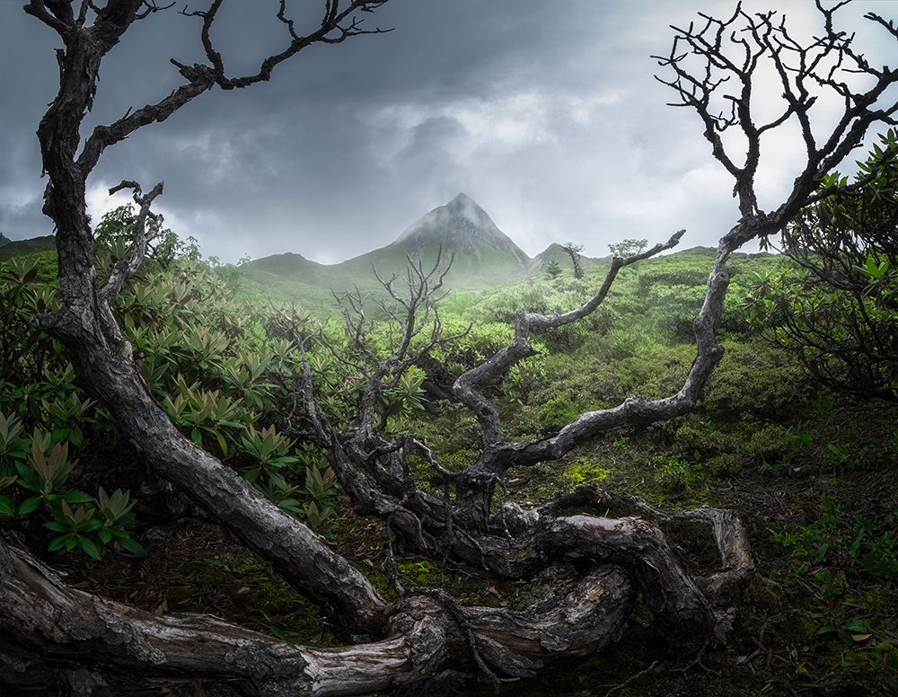Yunnan wasteland art print by Minghao Hou for $57.95 CAD
