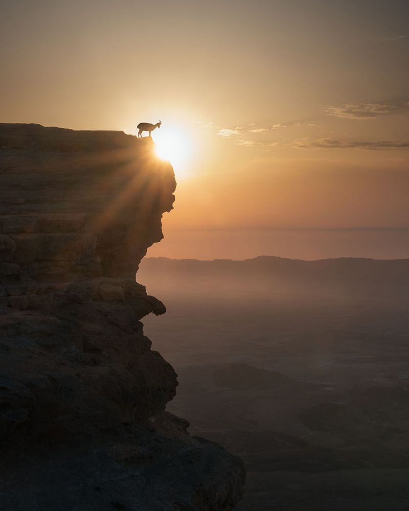Desert Sunrise art print by Nadav Jonas for $57.95 CAD