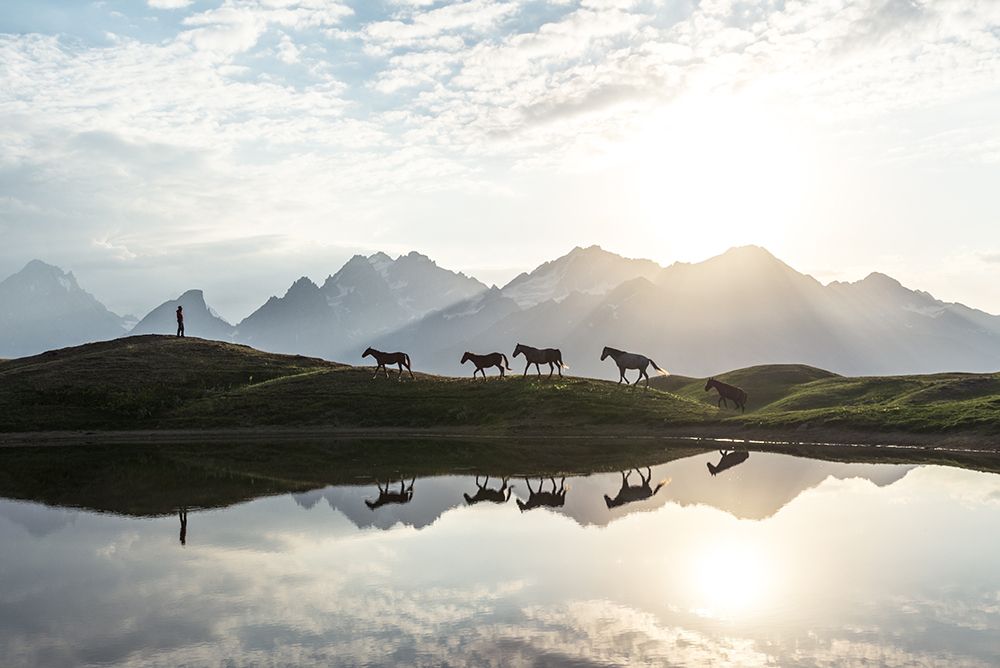 Horses art print by Witold Ziomek for $57.95 CAD