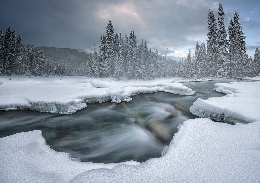 Winter Wonderland art print by Larry Deng for $57.95 CAD