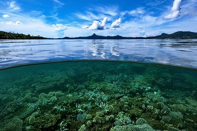 From The Reef To The Sky by Serge Melesan