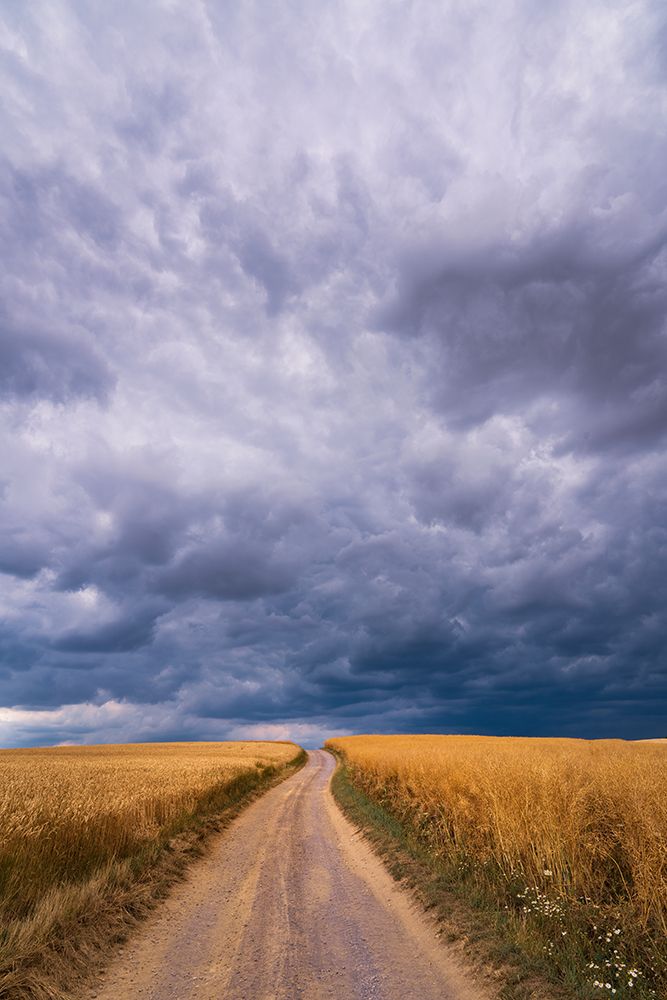 Towards The Storm art print by Norbert Maier for $57.95 CAD