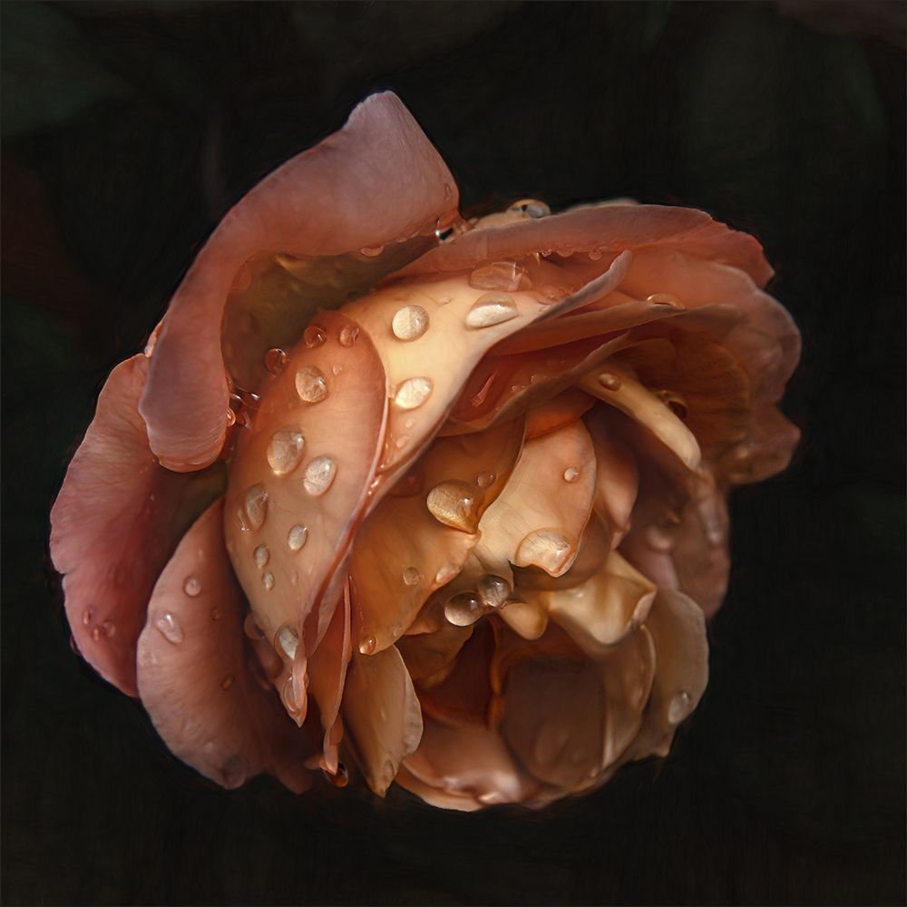 Raindrops Are Falling On My Head... art print by Gilbert Claes for $57.95 CAD