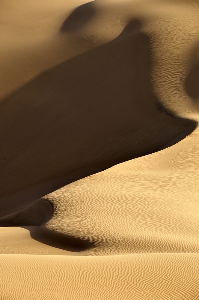 Desert art print by Arash Karimi for $57.95 CAD