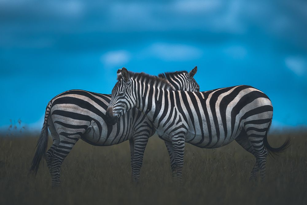 Stripy art print by Ahmed Sobhi for $57.95 CAD