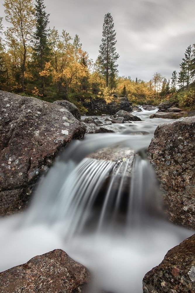 Northern Autumn art print by Rostovskiy Anton for $57.95 CAD