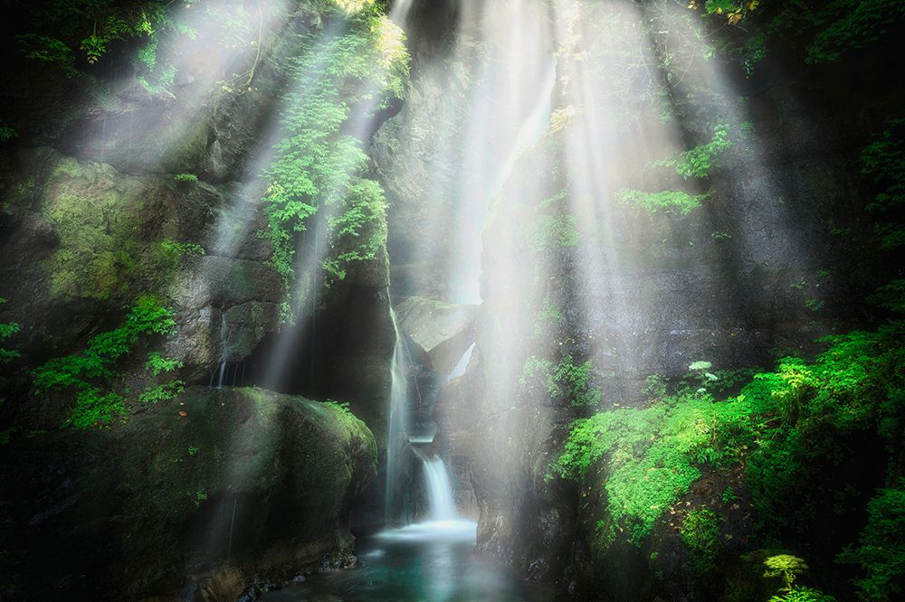 The Eden Of Light art print by Daiki Suzuki for $57.95 CAD