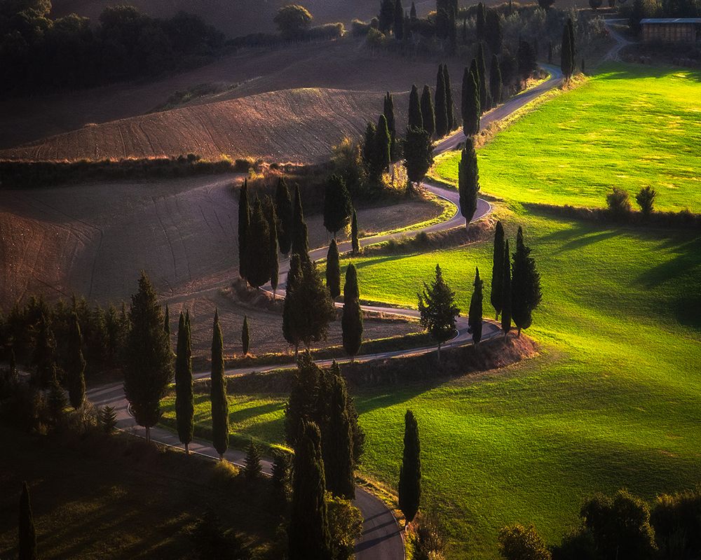 Torrenieri Road art print by Sebastian Prioteasa for $57.95 CAD
