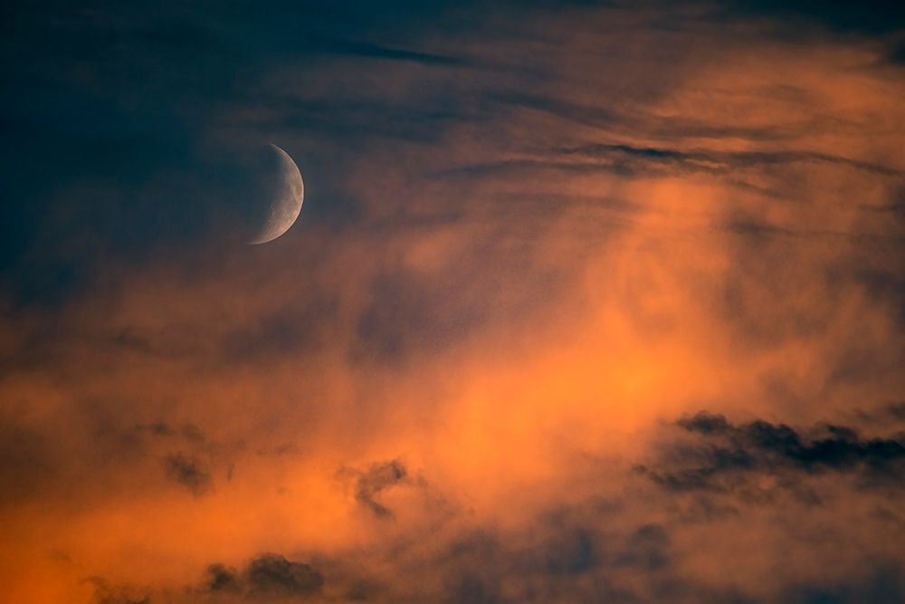 Gravity art print by Davide Boaretto for $57.95 CAD
