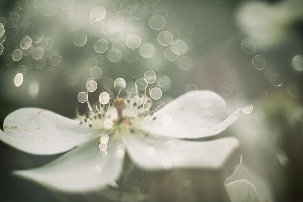 Air art print by Igor Kopcev for $57.95 CAD