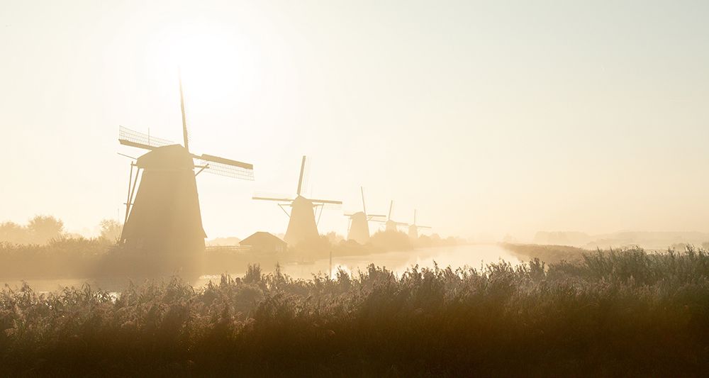 Kinderdijk art print by Adam Dauria for $57.95 CAD
