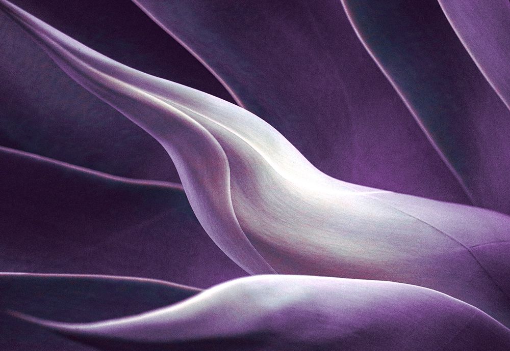 Fade To Violet art print by Robin Wechsler for $57.95 CAD