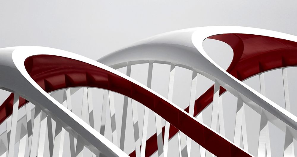 Cherry Bridge art print by Ivan Huang for $57.95 CAD