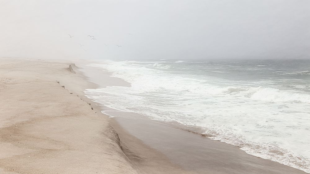 Mist Over Sao Jacinto Beach art print by Bruno Flour for $57.95 CAD